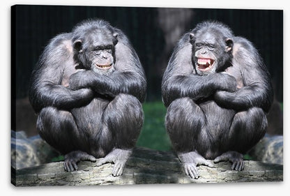 Monkeying around