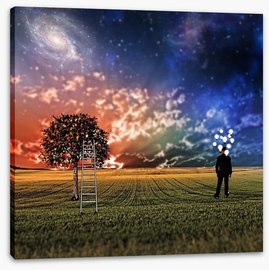 Sky dreamer