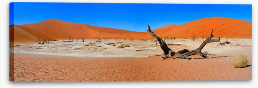 Desert