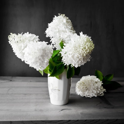 White hydrangea vase