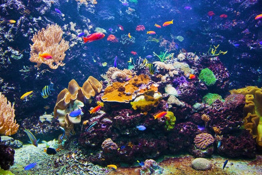 Underwater