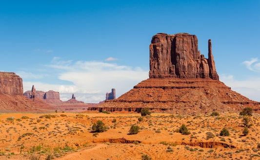 Majestic Monument Valley