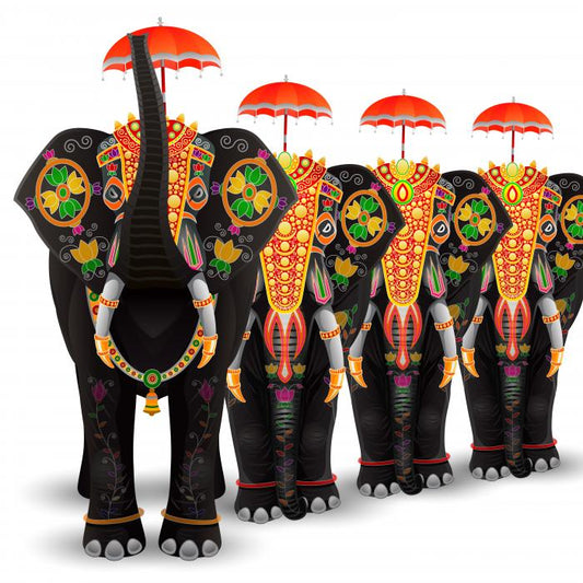 Elephant procession