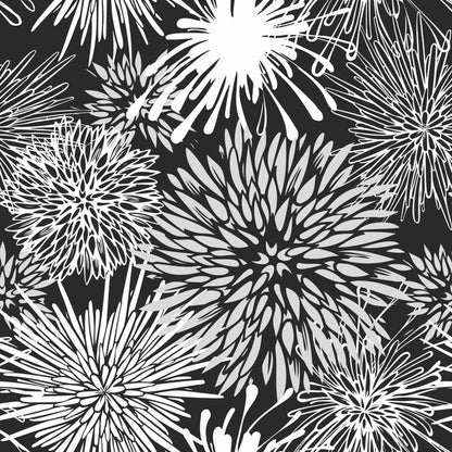 Chrysanthemum burst