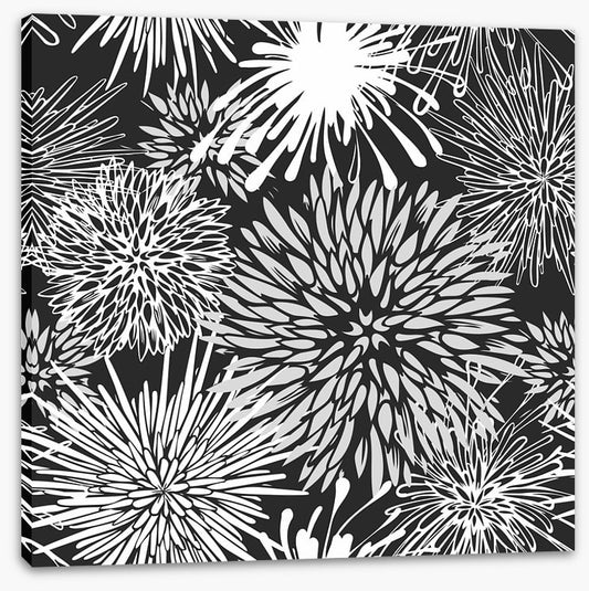 Chrysanthemum burst