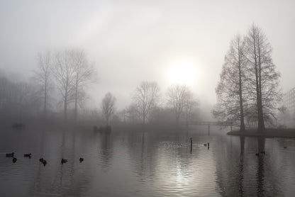 Silhouettes in the morning fog