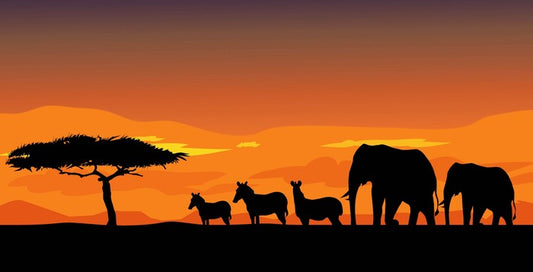 African safari at sunset