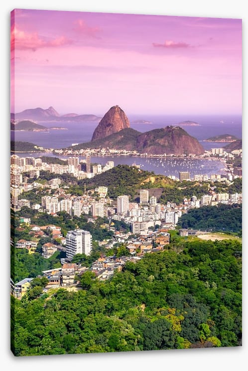 South America