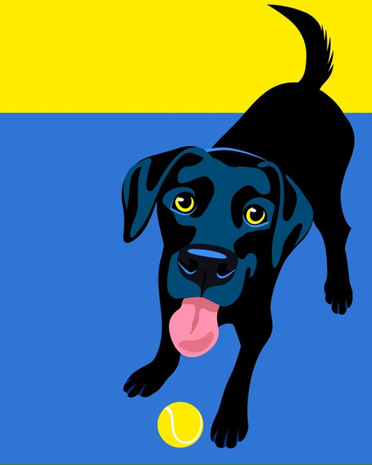 Go fetch