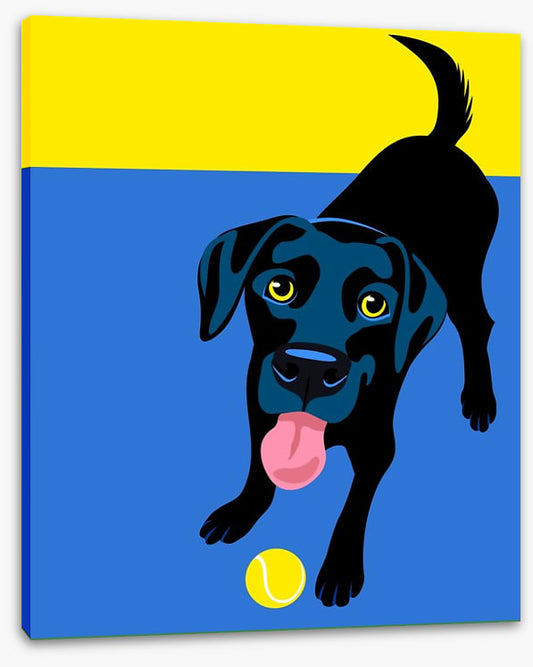 Go fetch