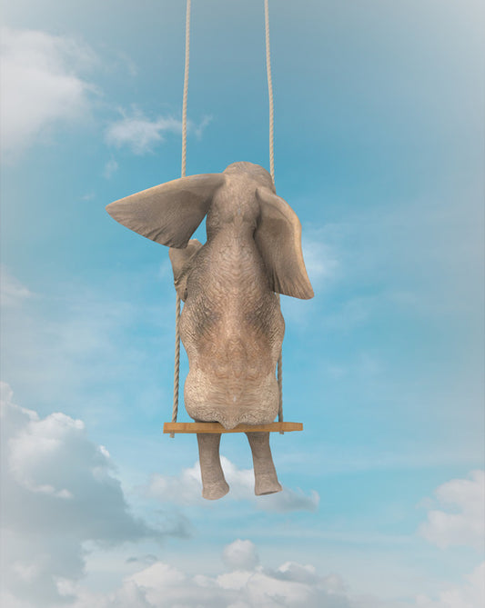 Elephant on the swing