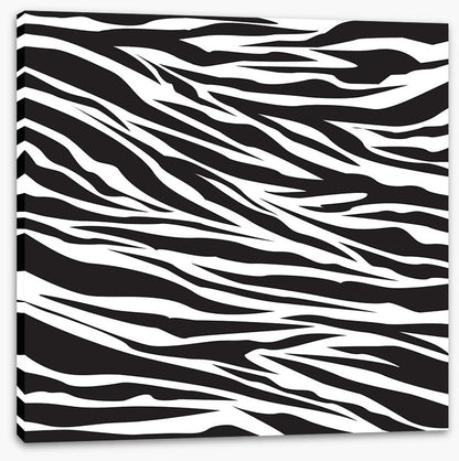 Animal Print