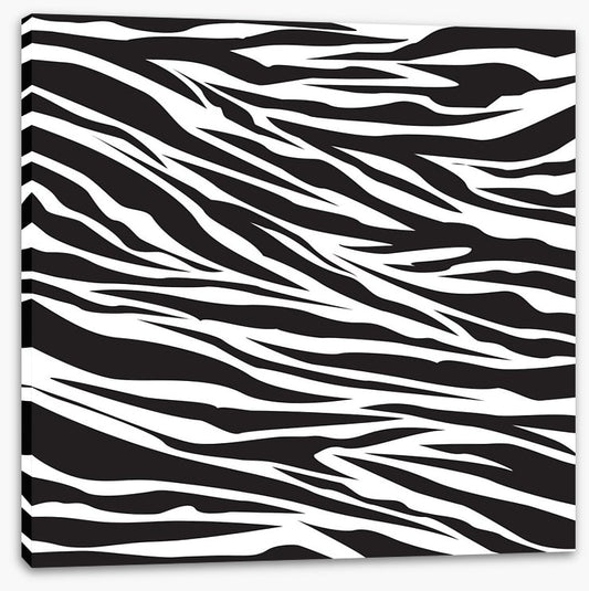 Animal Print