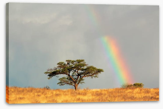 Rainbows