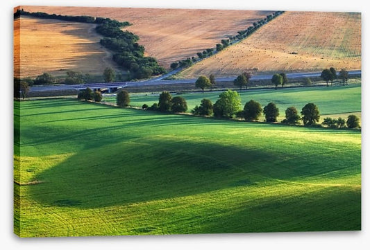 Meadows