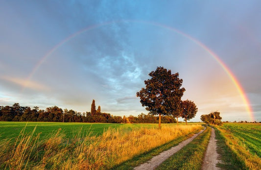 A natural arch