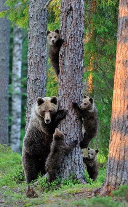 Hide and seek