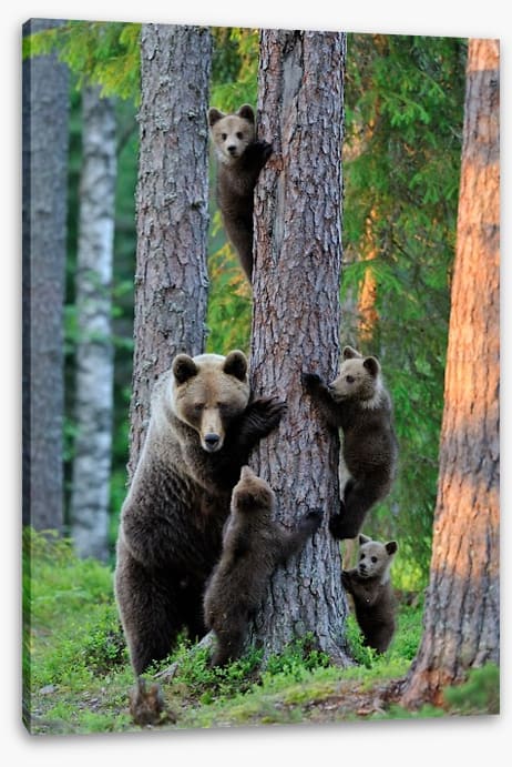 Hide and seek