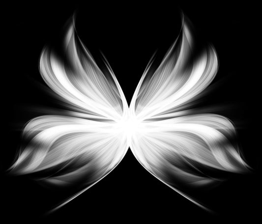 Wings of transition