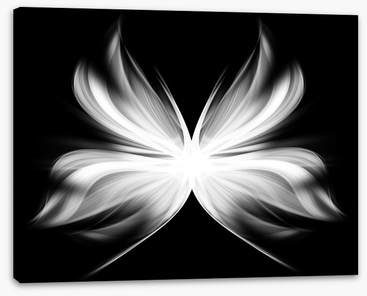 Wings of transition