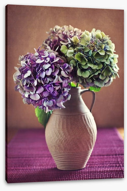 Hortensia bloom