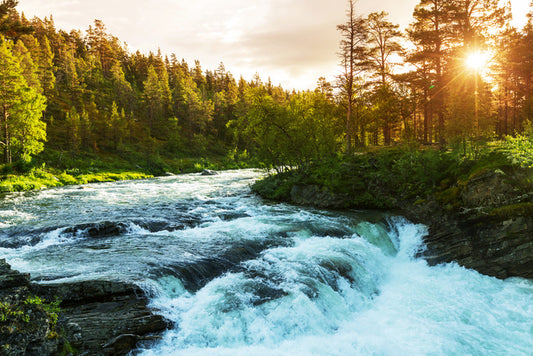 Rivers