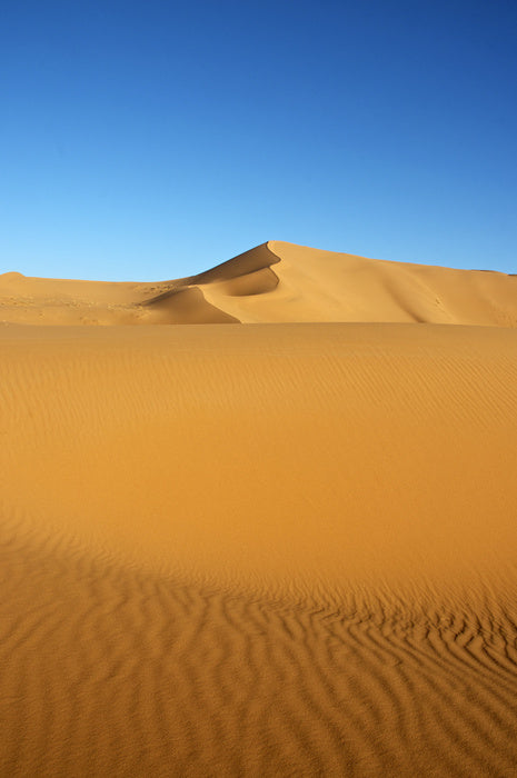 Desert