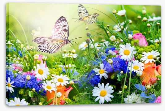 Butterfly paradise