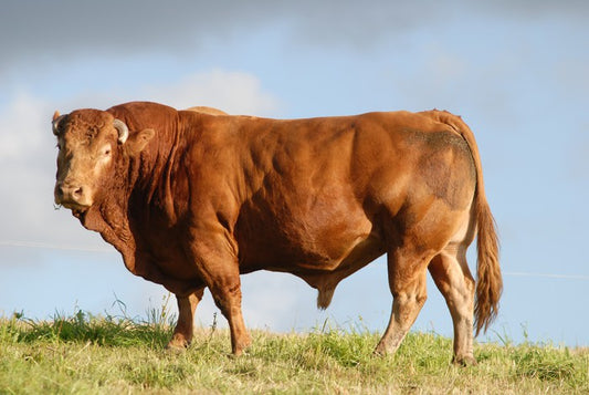 Agriculture