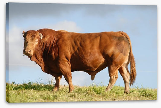 Agriculture