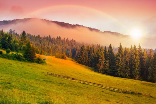 Rainbows