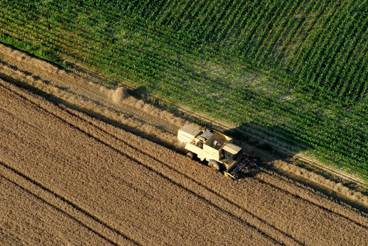 Agriculture