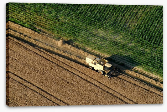 Agriculture