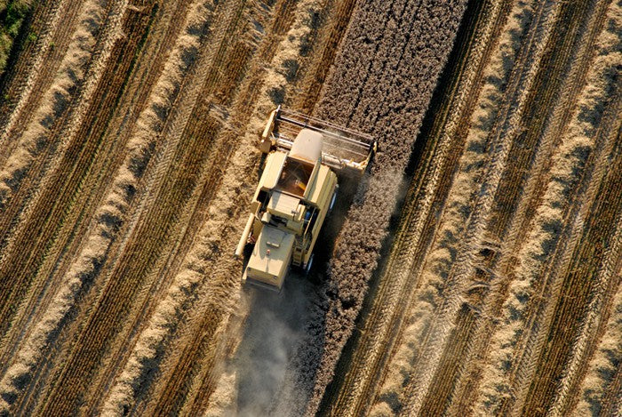 Agriculture