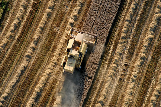 Agriculture