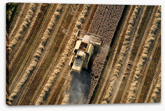 Agriculture