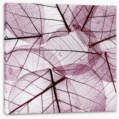 Fallen leaves