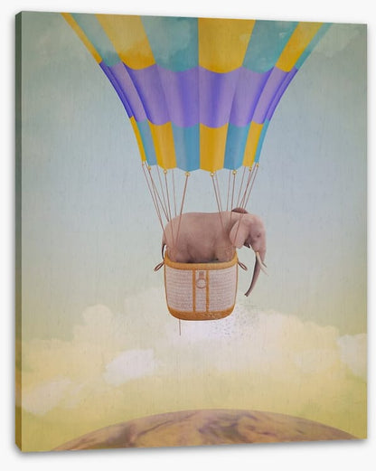 Elephant adrift