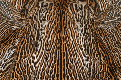 Animal Print