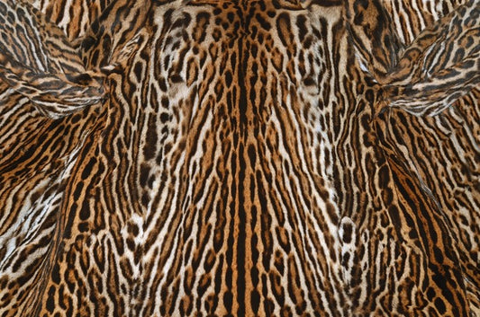 Animal Print