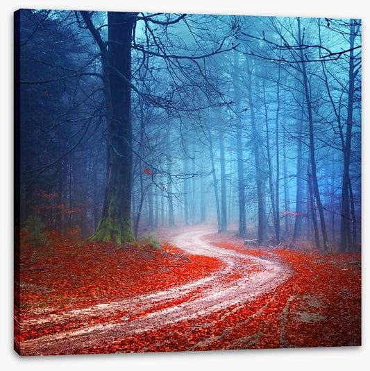 Magical forest road