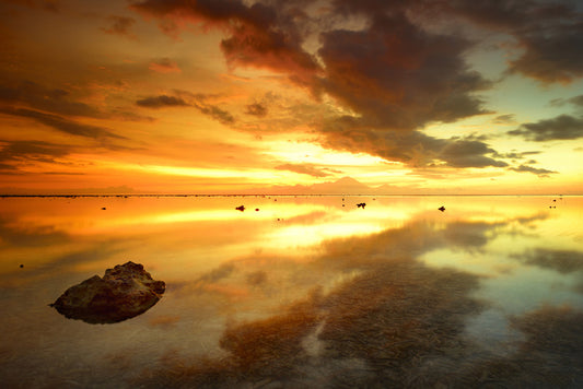 Sunsets / Rises