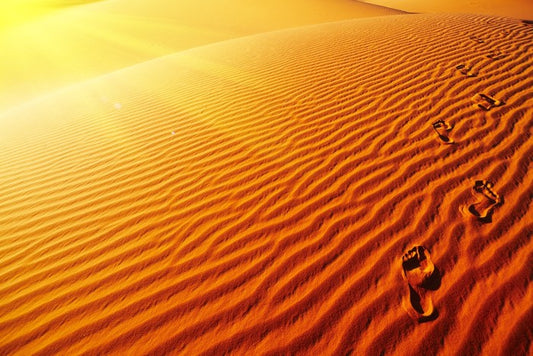 Desert