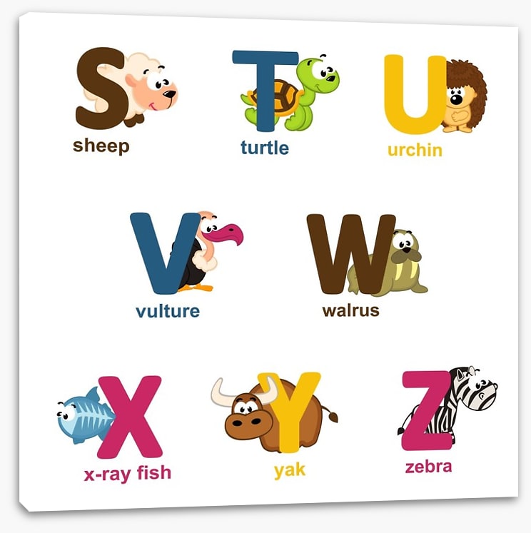 Alphabet animals - S to Z