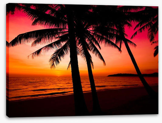 Tropical sunset silhouette