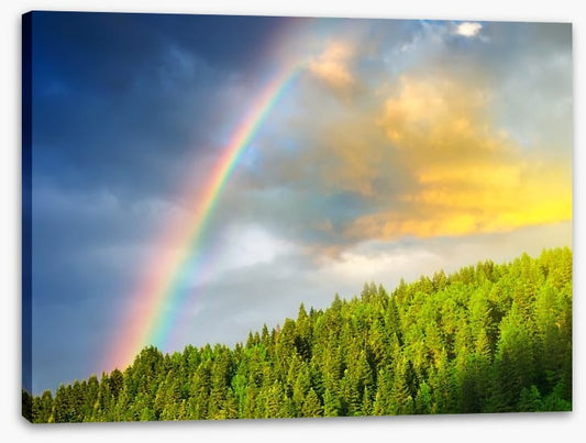 Rainbows