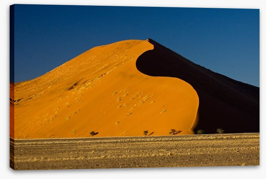 Desert