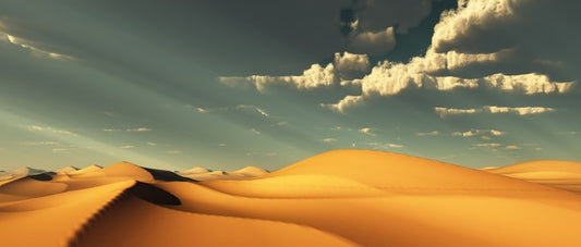 Desert