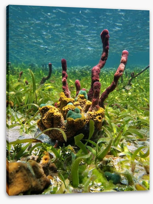 Underwater