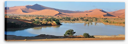 Desert